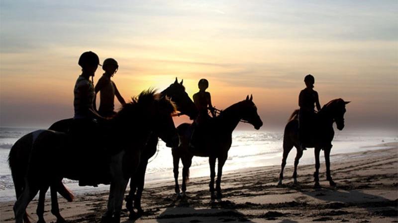 Bali Equestrian Centre