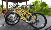 Cycle Stand - Villa Rumah Lotus - Ubud, Bali