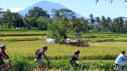 Bali Eco Cycling