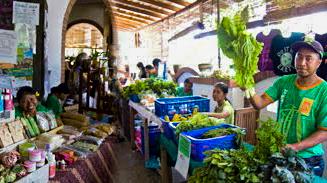 Ubud Organic Market