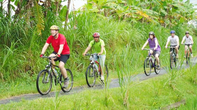Banyan Tree Bike Tours