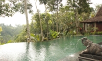 Pool - Villa Bodhi - Ubud, Bali