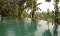 Private Pool - Villa Bodhi - Ubud, Bali
