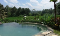 Swimming Pool with View - Villa Kembang - Ubud, Bali