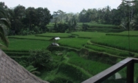 View from Top - Villa Kembang - Ubud, Bali