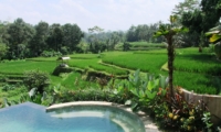 Pool Side - Villa Kembang - Ubud, Bali