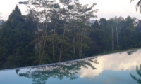 Swimming Pool - Villa Kembang - Ubud, Bali