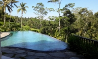 Pool - Villa Kembang - Ubud, Bali