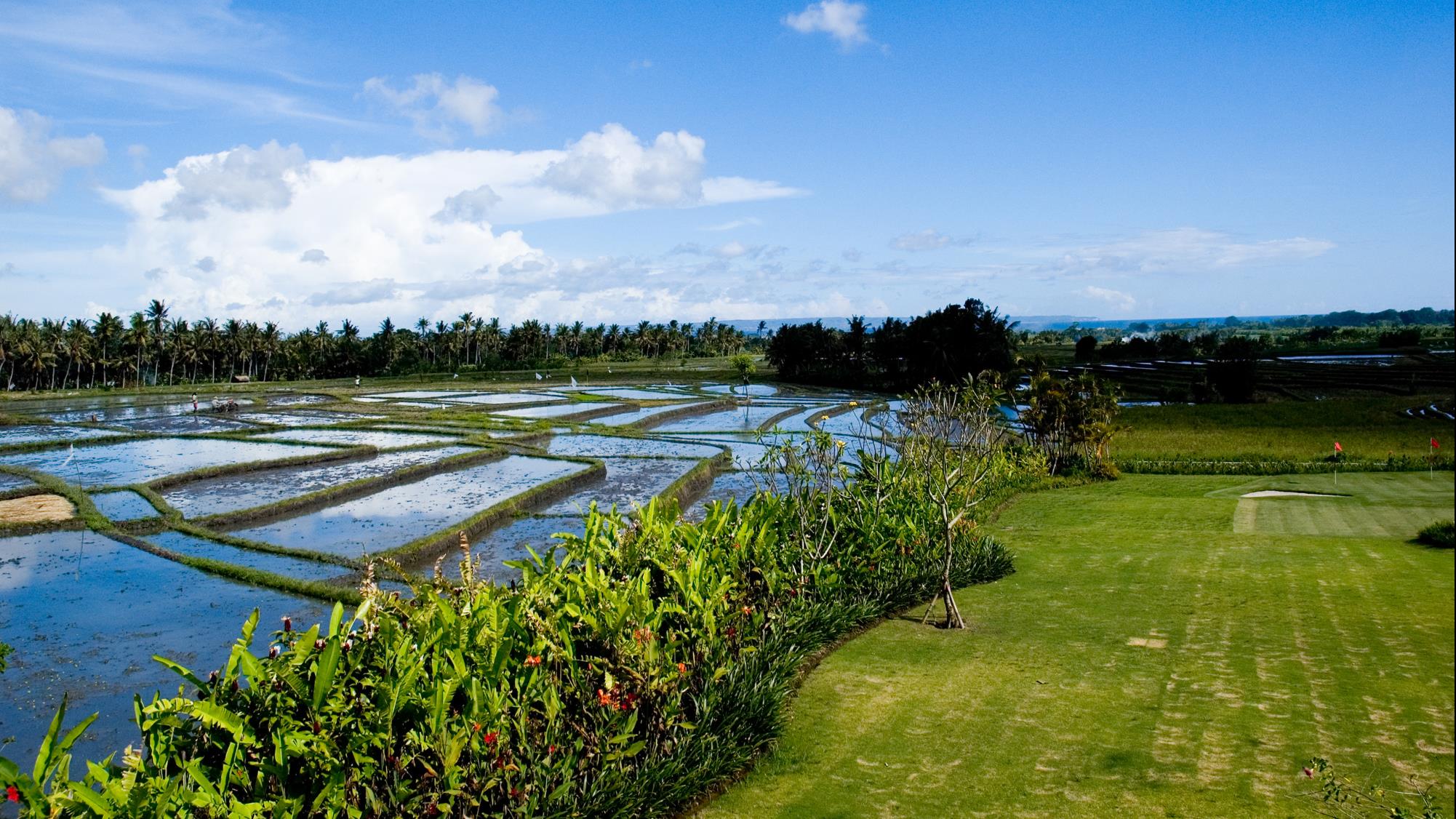 Rice Fields View - Villa Mandalay - Seseh, Bali