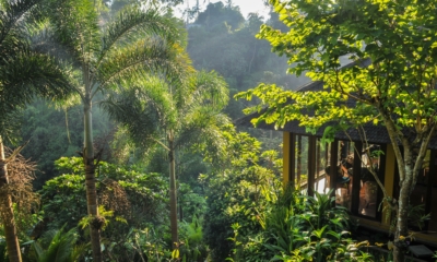 Outdoor View - Villa Umah Shanti - Ubud, Bali