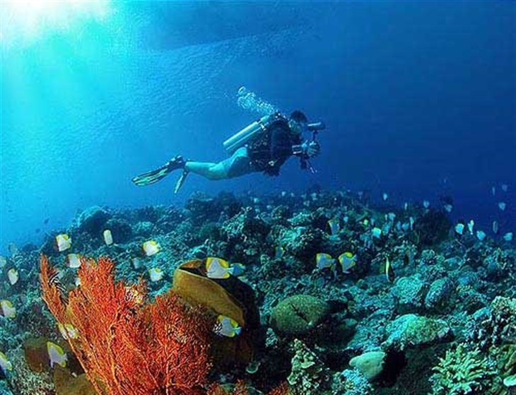 Nusa Penida Dive Site Dive Spots