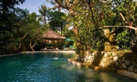 Swimming Pool - Villa Bougainvillea - Canggu, Bali