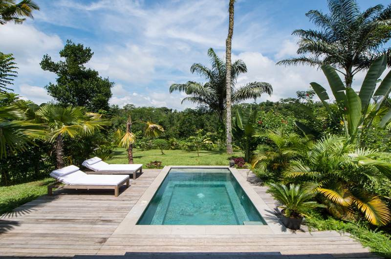 Gardens and Pool - Villa Nag Shampa - Ubud Payangan, Bali