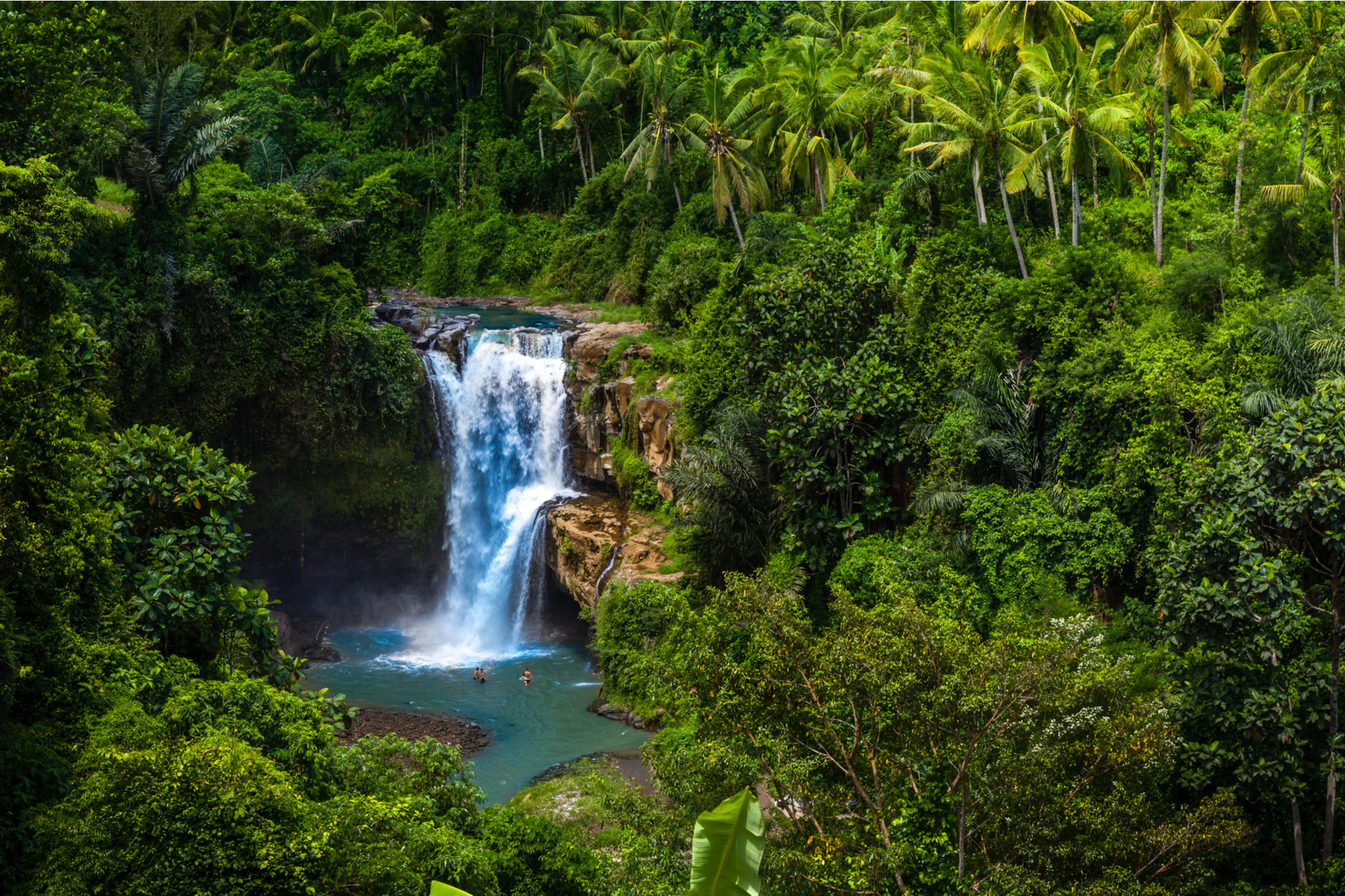 Bali’s Most Beautiful Waterfalls & Rice Fields